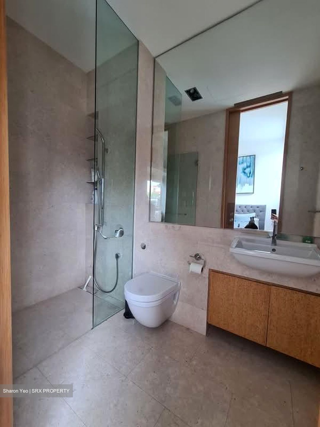Belle Vue Residences (D9), Condominium #556493971